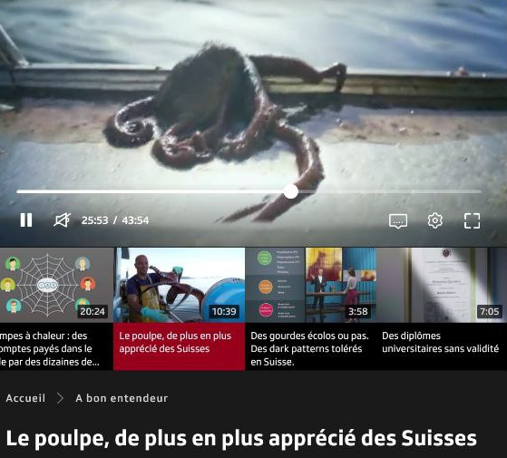 photo d'une émission sur le poulpe